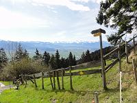  21. April 2012 - auf dem Weg in der Nähe vom St.Anton
